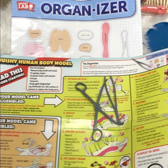 ☀︎︎<{𝚂𝚚𝚞𝚒𝚜𝚑𝚢 𝙷𝚞𝚖𝚊𝚗 𝙱𝚘𝚍𝚢}>☀︎︎ - Picture 3 of 5